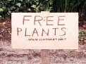 Curbside Plants street sign photo